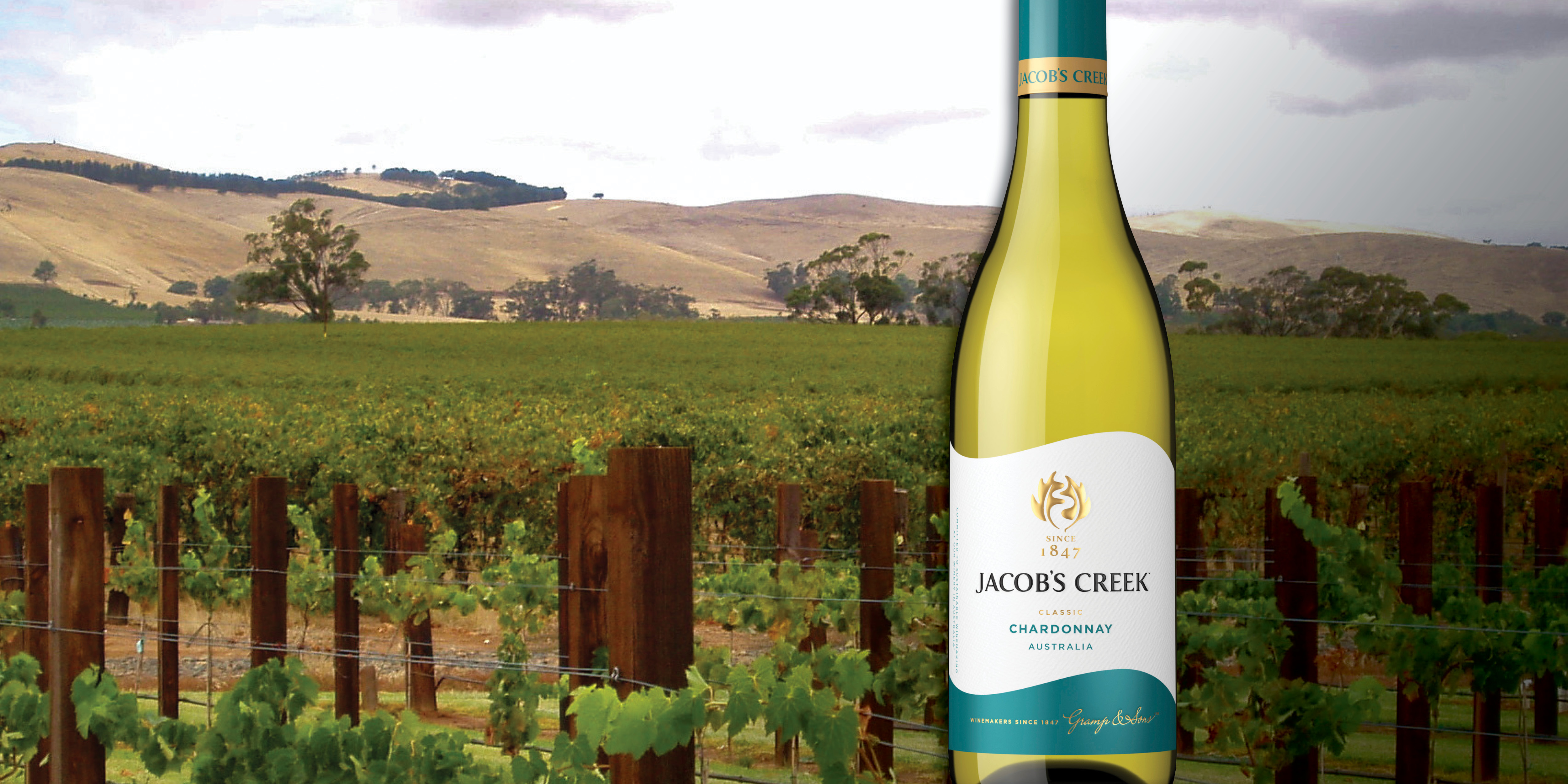 From $5 Bottle to Centre Court Star: The Jacob’s Creek Story